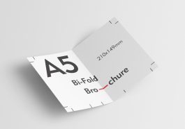 A5 free brochure mockup free download