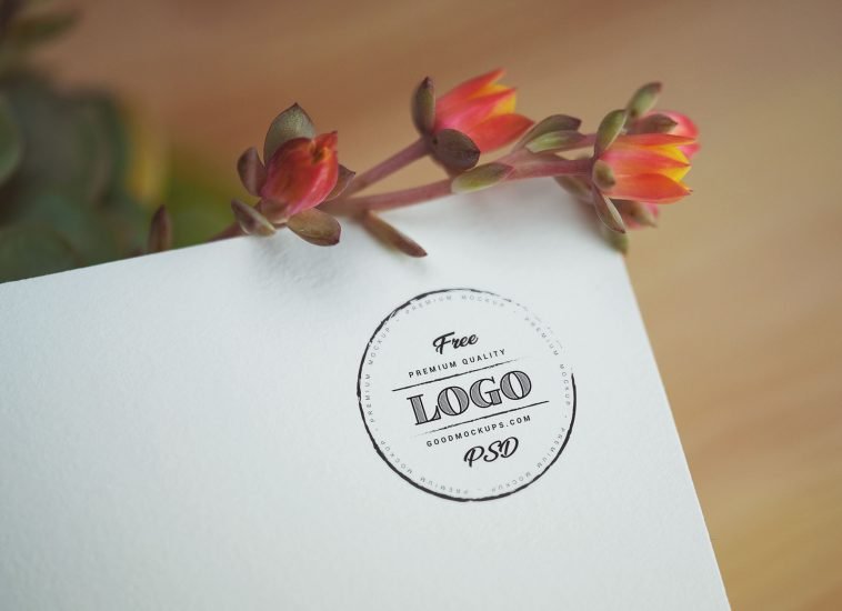 free paper logo mockup