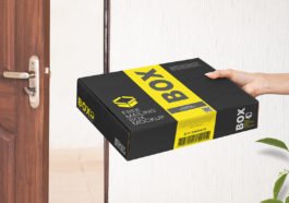 free mailing shipping box mockup