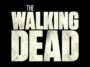 the walking dead font free download